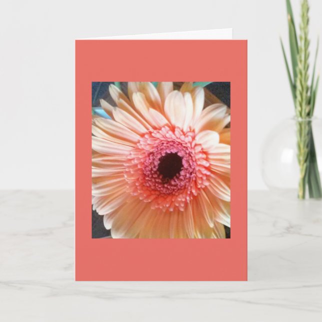 Pink Peach Daisy Flower Blank inside Note Card (Front)