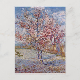 Pink Peach Tree in Blossom (Reminiscence of Mauve) Postcard