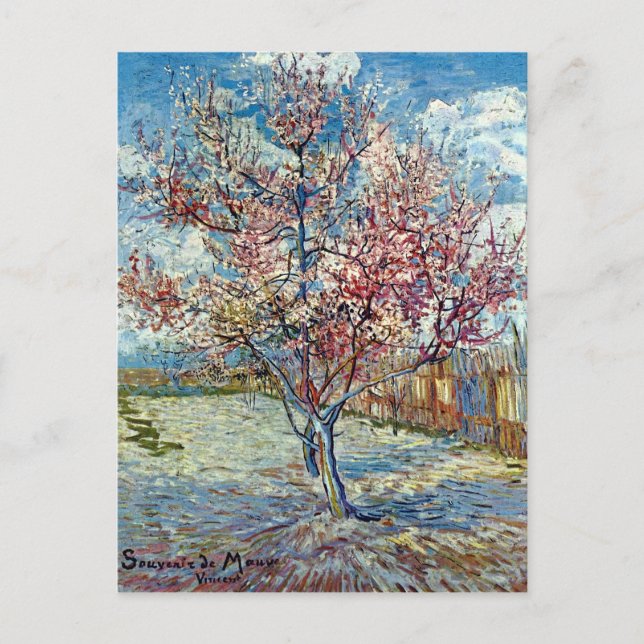 Pink Peach Tree Van Gogh Fine Art Postcard (Front)