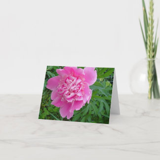 pink peonie floral notecard collection