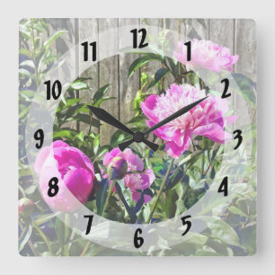 Pink Peonies By Stockade Fence Square Wall Clock