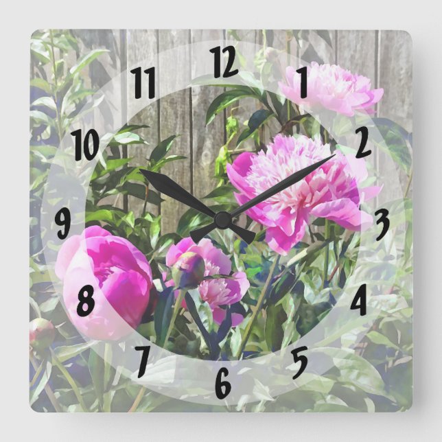 Pink Peonies By Stockade Fence Square Wall Clock (Front)