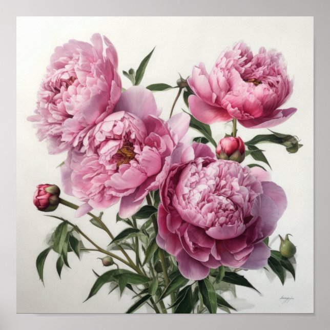 Pink Peonies Flower Art Print Poster (Front)