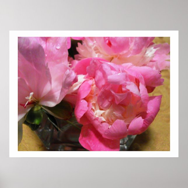 Pink Peonies in Vase / Peony Flower Poster (Front)