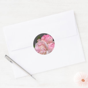 Pink peonies on dark grey classic round sticker