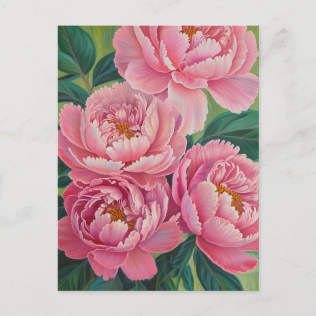 Pink peonies Pastel Flower Floral Postcard (Front)