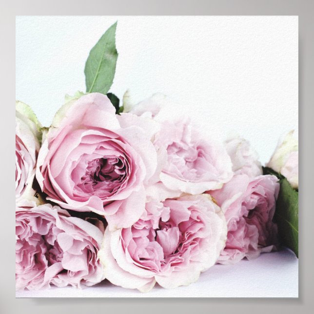 PINK PEONIES PHOTOGRAPH POSTER (Front)