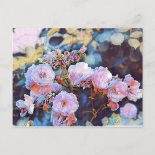 PINK PEONIES POSTCARD