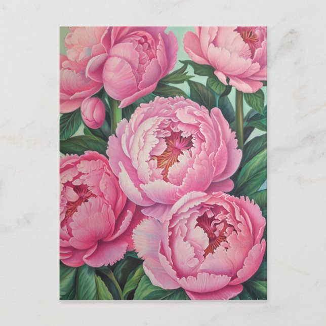 Pink peonies postcard (Front)