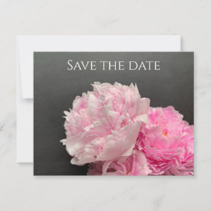 Pink peonies with text space save the date
