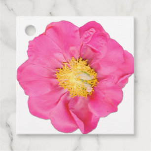 Pink Peony Blossom Botanical Square Favour Tags