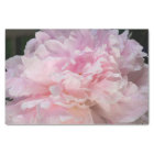 Pink Peony Blossom