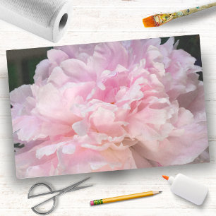 Pink Peony Blossom Tissue Paper