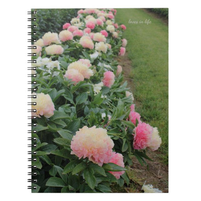 Pink Peony Border Notebook (Front)