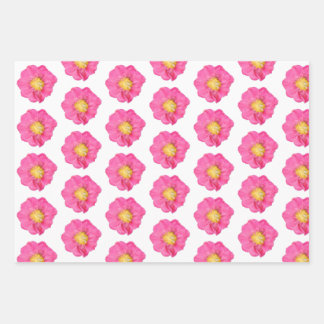 Pink Peony Botanical Flat Sheet Gift Wrapping Pape