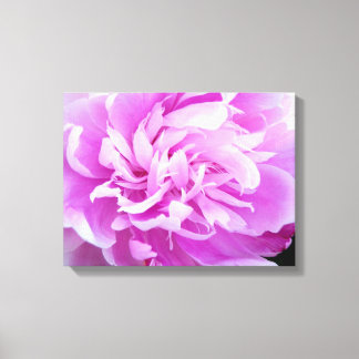 Pink Peony Canvas Print