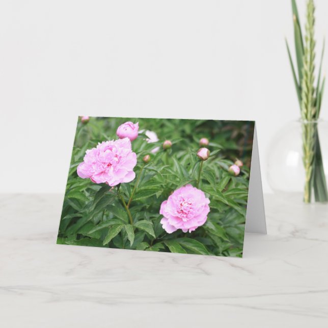 Pink Peony Card (Front)
