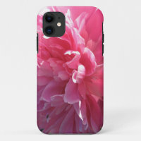 Pink Peony