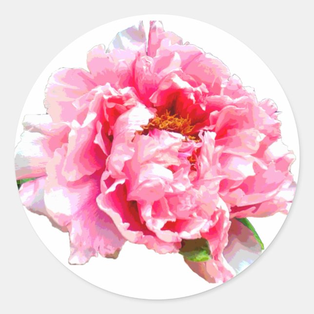 PINK PEONY CLASSIC ROUND STICKER (Front)