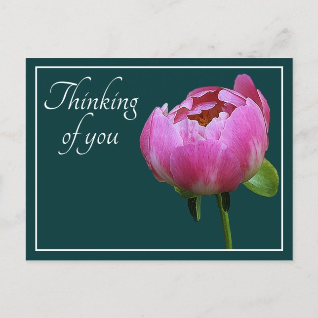 Pink Peony Cyan Background Thinking Of You Postcard (Front)
