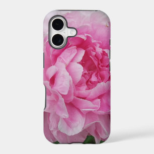Pink Peony Flower