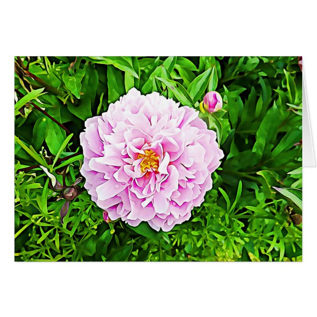 Pink Peony Flower Blank Card (Front Horizontal)