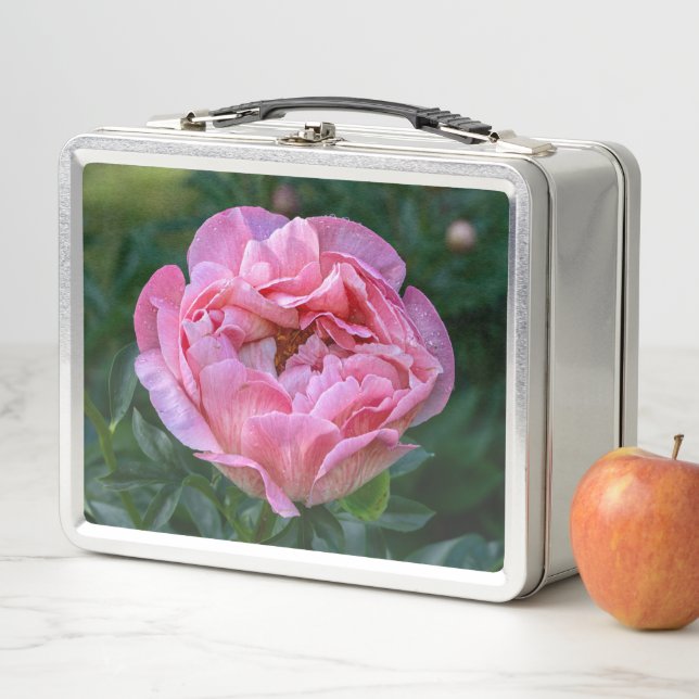Pink Peony Flower, Canadian Photography Metal Lunch Box (In Situ)