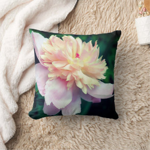 Pink Peony Flower In Bloom Close Up  Cushion