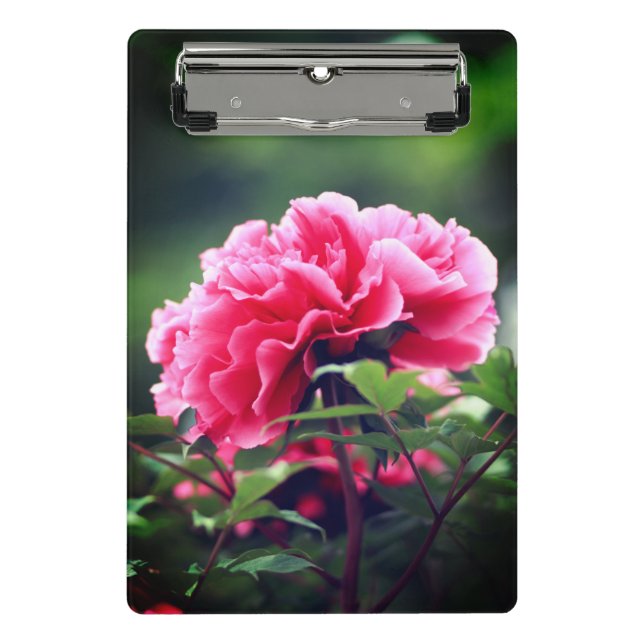 Pink Peony Flower in the Garden-33333 Mini Clipboard (Front)