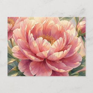 Pink Peony Flower Vintage Watercolor Botanical Postcard
