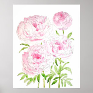 pink peony flowers watercolor and ink poster