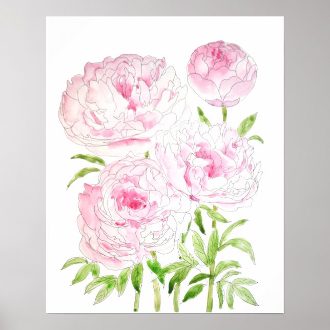 pink peony flowers  watercolor and ink poster (Front)