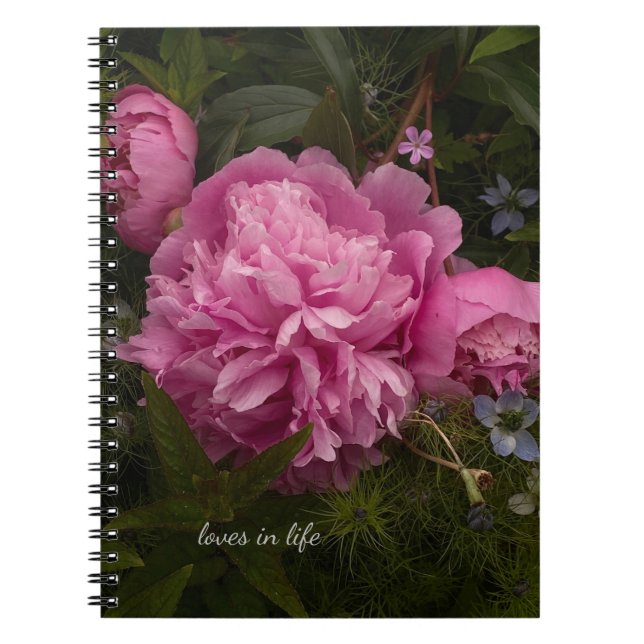 Pink Peony & Love-in-a-mist Notebook (Front)