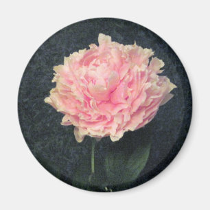 Pink Peony Magnet