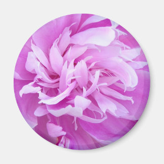 Pink Peony - Magnet