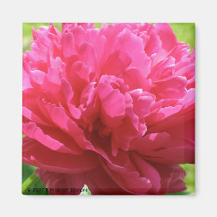 Pink Peony Magnet