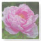 "PINK PEONY" MARBLE COASTER