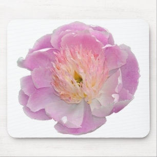 Pink peony     mouse pad