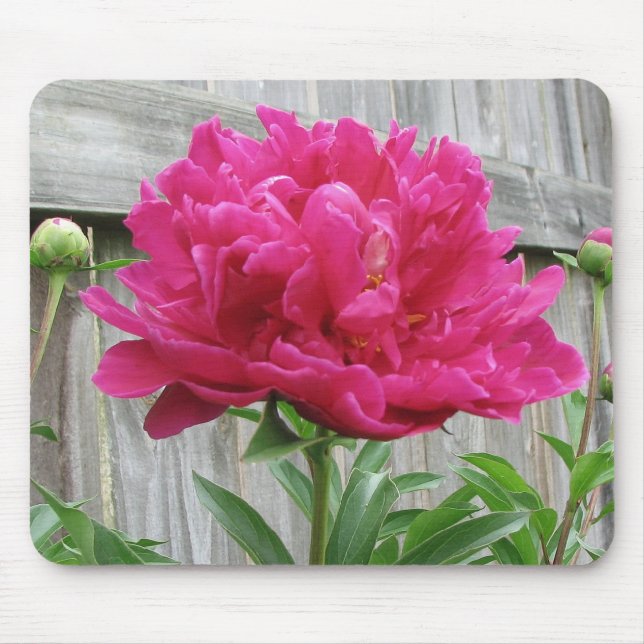 Pink Peony Mouse Pad (Front)