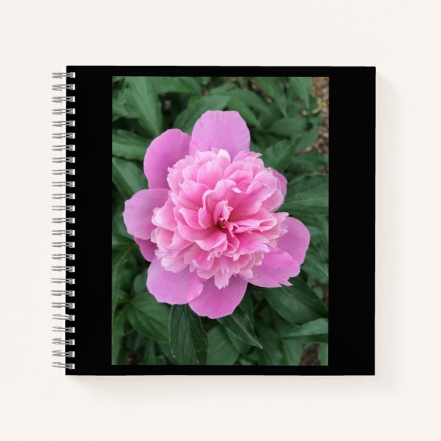Pink Peony Notebook (Front)
