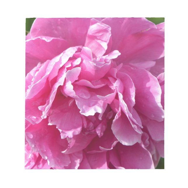 Pink Peony Notepad (Front)