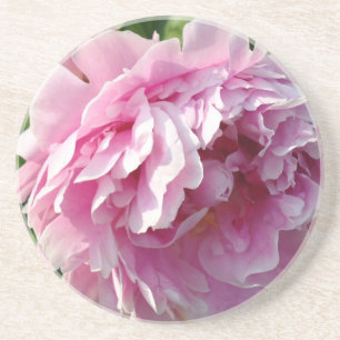 Pink Peony photo cottage farmhouse floral garden Coaster