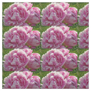Pink Peony photo cottage farmhouse floral garden Fabric
