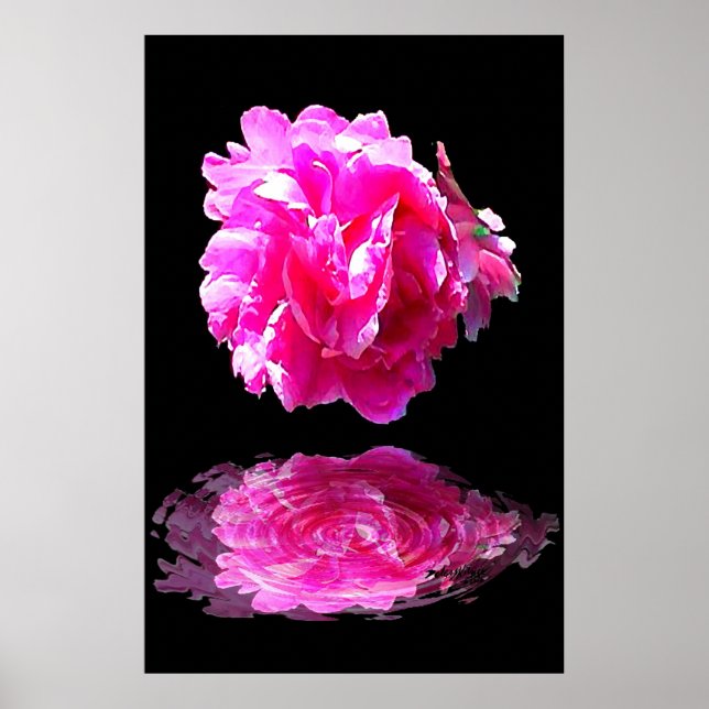 Pink Peony Poster (Front)