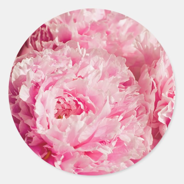 Pink Peony Stickers (Front)