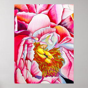 Pink Peony watercolor fine art Poster
