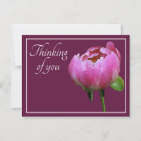 Pink Peony Wine Colour Background Thinking Of You