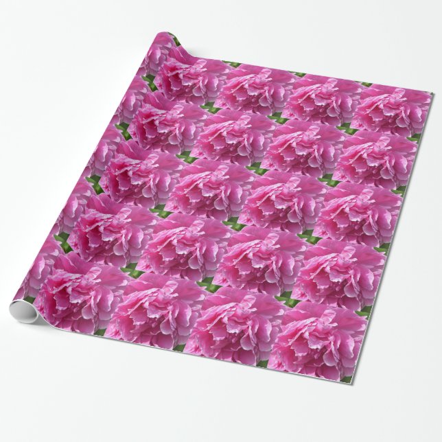 Pink Peony Wrapping Paper (Unrolled)