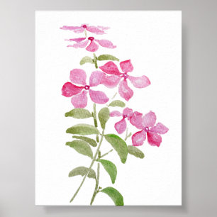 pink periwinkle flowers watercolor painting poster