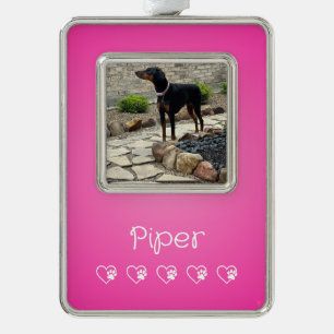 Pink Pet Photo Ornament Framed, Dog Lovers
